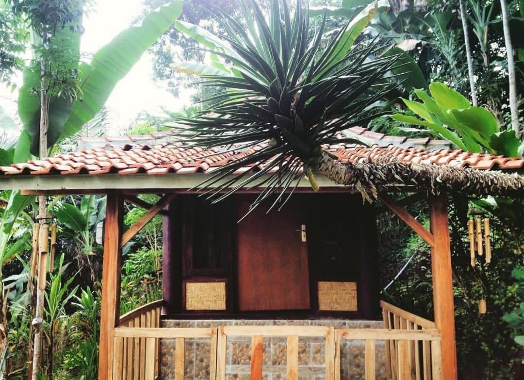 Appartement Sky Garden Lombok à Tetebatu Extérieur photo