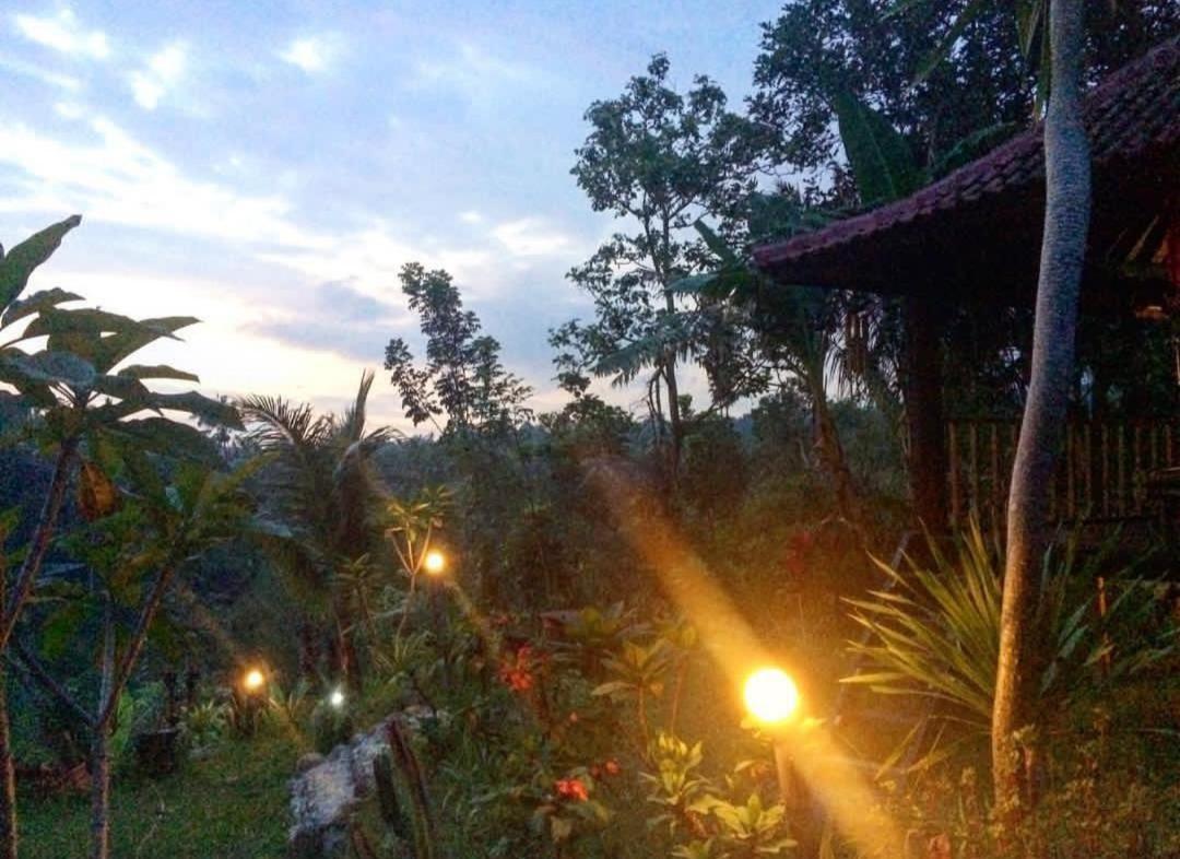 Appartement Sky Garden Lombok à Tetebatu Extérieur photo