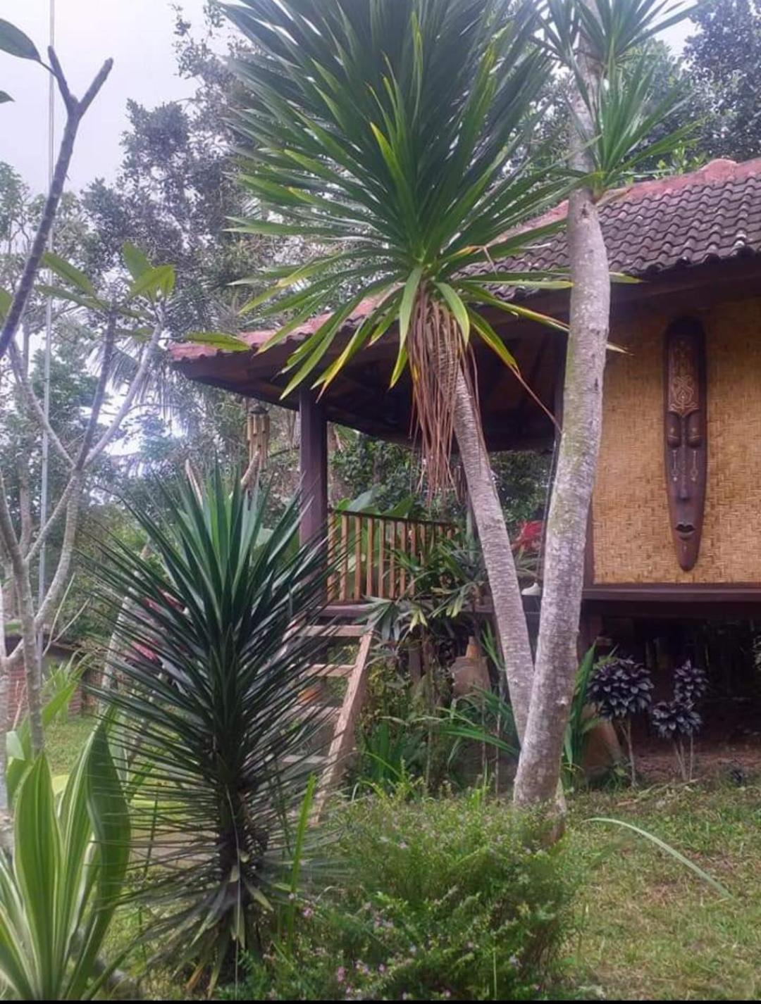 Appartement Sky Garden Lombok à Tetebatu Chambre photo